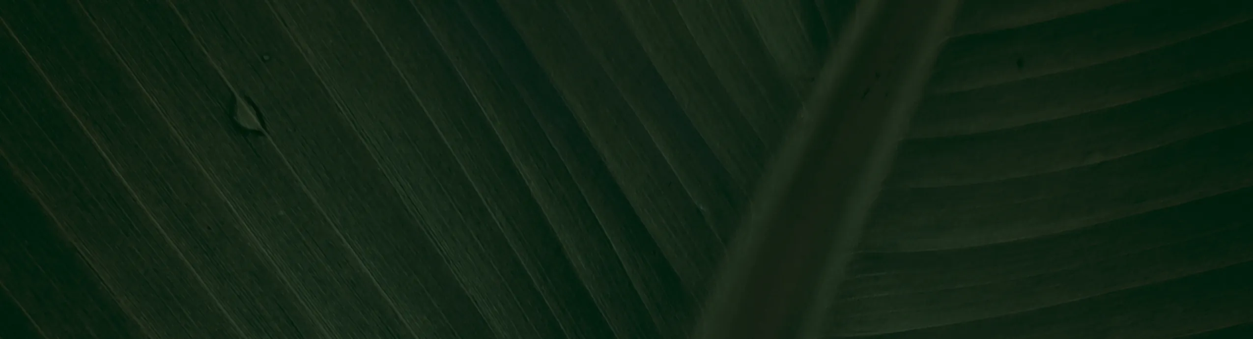 195/50R15 TORNEL (DEPORTIVA)