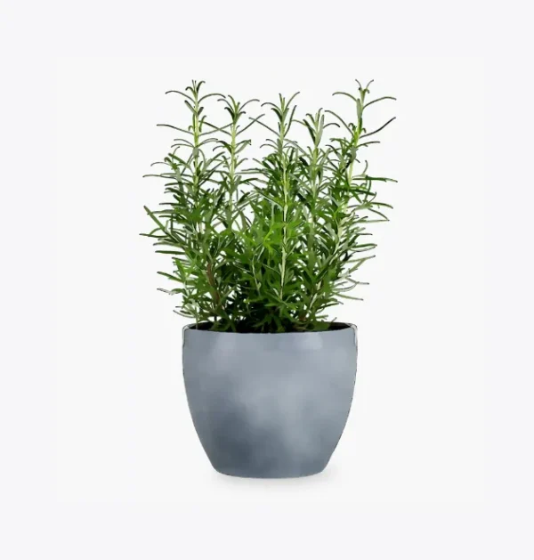 195/50R15 TORNEL (DEPORTIVA)