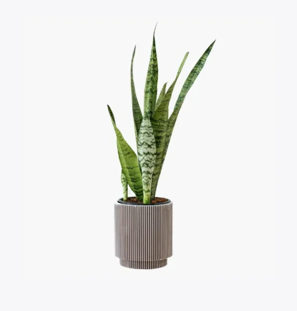 195/50R15 TORNEL (DEPORTIVA)